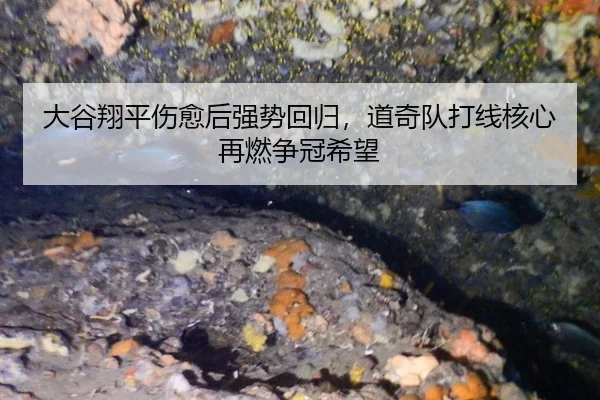 da-gu-xiang-ping-shang-yu-hou-qiang-shi-hui-gui-dao-qi-dui-da-xian-he-xin-zai-ran-zheng-guan-xi-wang-2-169.jpg