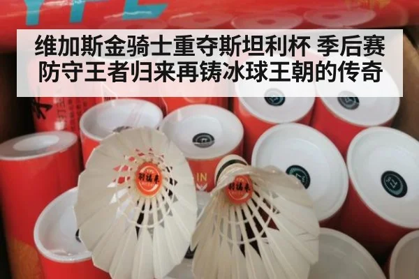 维加斯金骑士重夺斯坦利杯 季后赛防守王者归来再铸冰球王朝的传奇